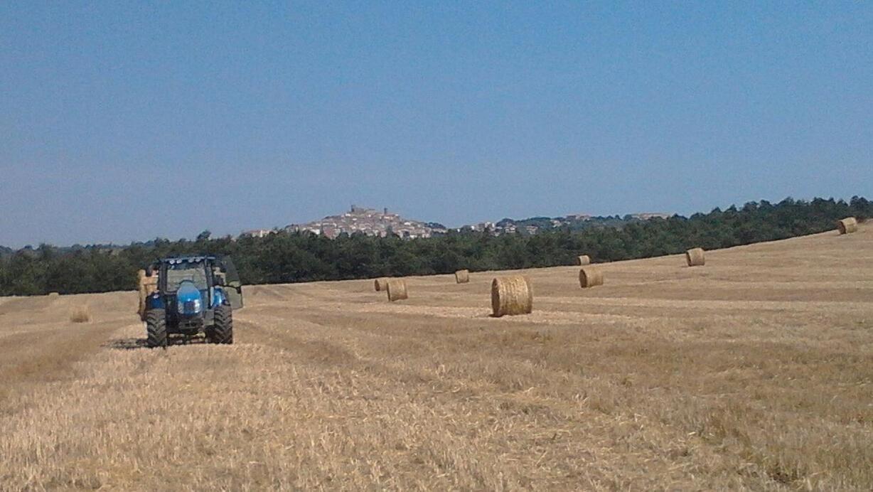 Il Laghetto Agriturismo Villa Manciano Dış mekan fotoğraf