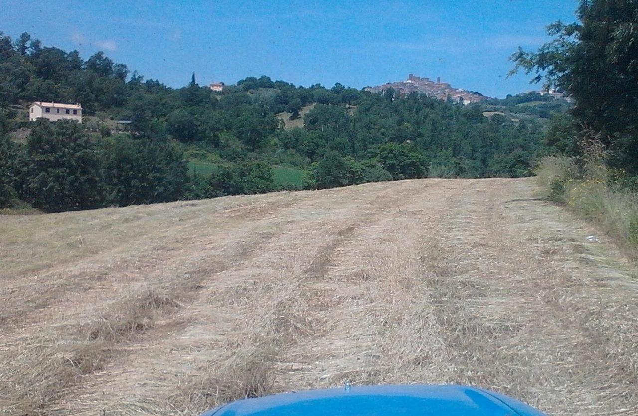 Il Laghetto Agriturismo Villa Manciano Dış mekan fotoğraf