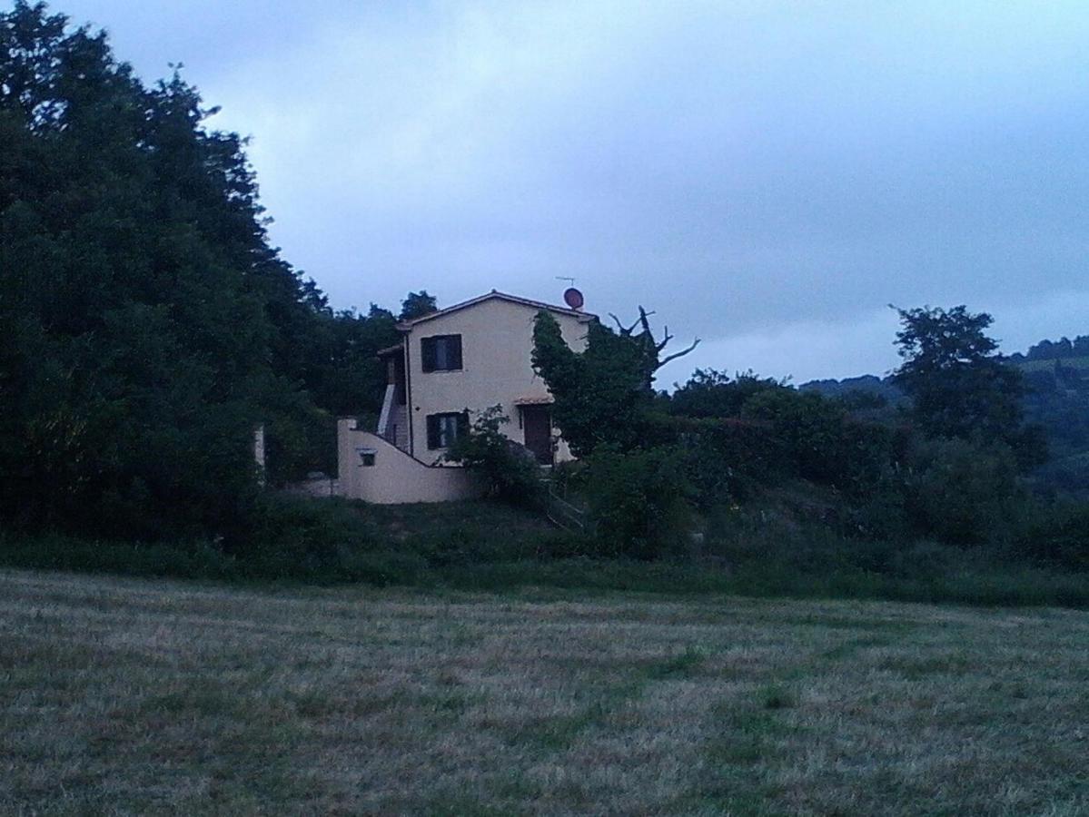 Il Laghetto Agriturismo Villa Manciano Dış mekan fotoğraf
